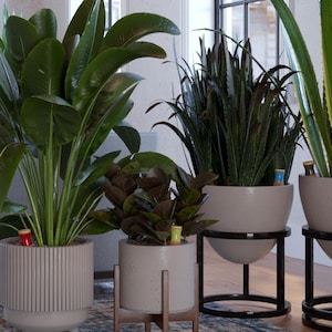 May include: Three potted plants with different types of greenery. The plants are in gray pots with a textured finish. The pots are on stands made of wood and metal. The plants are in a room with a wooden floor.