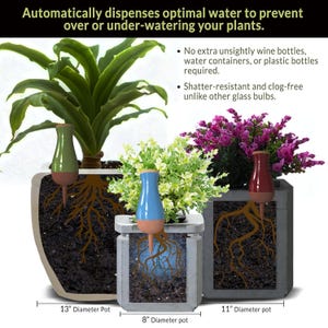 May include: Three ceramic self-watering spikes in different colors and sizes, inserted into three different sized pots with plants. The pots are 13 inches, 11 inches, and 8 inches in diameter.
