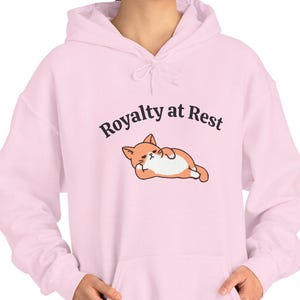 Funny Cat Hoodie For Cat Lover Cute Cat Hoodie Attitude Orange Cat Sweatshirt Gift For Cat Mom Majestic Cat Hoodie Pet Lover Apparel for her