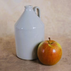 Vintage White Stoneware Jug Mini Crock Bottle Rustic Farmhouse Decor Ceramic Primitive Style Pitcher