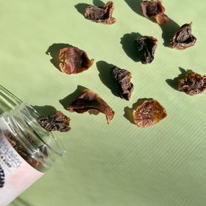 Chicken Gizzard | Single Ingredient Pet Treat