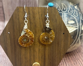 Natural Ammonite Stainless Steel Dangle Earrings
