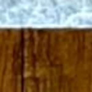 May include: A preserved moray eel on a white textured paper background. The eel is light brown with a green tint and has a long, slender body. The eel is mounted on the paper with its head facing the right side of the image. The paper has a handwritten inscription in the lower left corner.