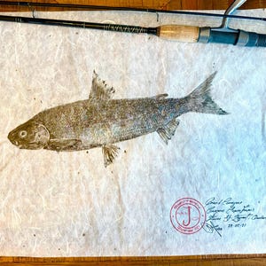 May include: A detailed print of a fish, likely a fish rub, on textured paper. The fish is in shades of gray and brown, with visible scales and fins. A fishing rod is visible in the background. The print includes text and a circular stamp.