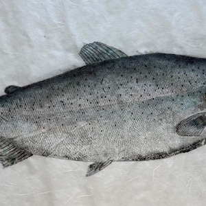 Gyotaku de Saumon Atlantique, fait à la main, 1/1, l'originale pas de riproduzioni.