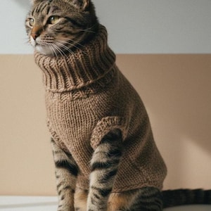 Pode incluir: Um gato malhado usando um suéter marrom de gola alta. O gato está sentado e olhando para a esquerda. O suéter é de cor sólida e parece ser de malha. A pelagem do gato tem listras escuras.