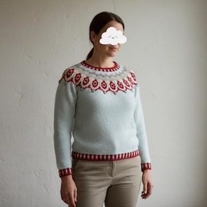 May include: A pale blue sweater featuring a patterned yoke in red, white, and grey. The sweater has long sleeves and red trim at the cuffs, neckline, and hem. The person is wearing khaki trousers.