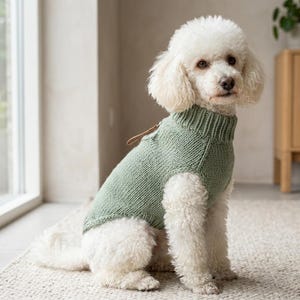 Seamless Dog Sweater Knitting Pattern, Raglan Pullover for Small Dogs, Adjustable PDF, Instant Download