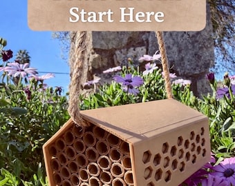 Hôtel Mason Bee pour pollinisateurs de jardin - Abeille solitaire, tubes de nidification, habitat extérieur