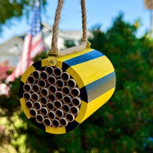 Buzz Barrel Bee Hotel