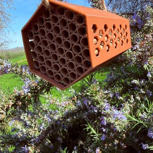 Native Bee Home for Your Garden - Grow More With Natural Pollination - Etsy
