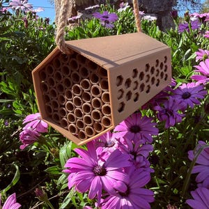 Native Bee Home for Your Garden - Grow More With Natural Pollination - Etsy
