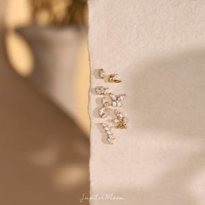 Titanium Leaf Studs Set - 18G Cartilage Helix Lobe Piercing | 100% Pure Titanium, 24/7 Comfort, Waterproof & Hypoallergenic, Gift Boxed