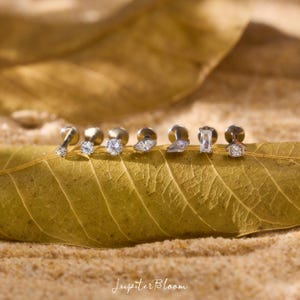 May include: A collection of silver-toned stud earrings with various gemstone shapes, including round, marquise, and baguette cuts. The earrings are displayed on a large, dried leaf, with the brand name "Jupiter Bloom" in script at the bottom.