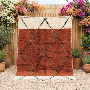 May include: A rectangular area rug featuring a large-scale diamond pattern in dark charcoal lines against a deep terracotta background. The rug has wide cream-colored bands at the top and bottom edges and is finished with a short, knotted fringe.