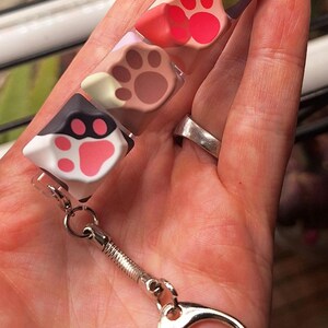 May include: A keychain featuring four square-shaped keycaps arranged in a row, each molded with a raised paw print design. The keycaps display various color combinations including black and white, light brown, red, and a multi-colored green and purple.
