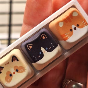 May include: Three square mechanical keyboard keycaps arranged in a white plastic tray. Each keycap features a stylized cat face illustration: one cream and orange tabby, one black and white tuxedo, and one orange and white tabby cat design.