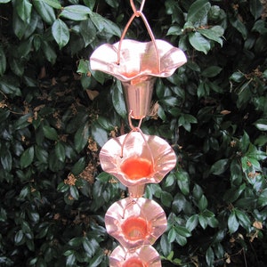 Copper Rain Chain Morning Glory Flower - 8-ft