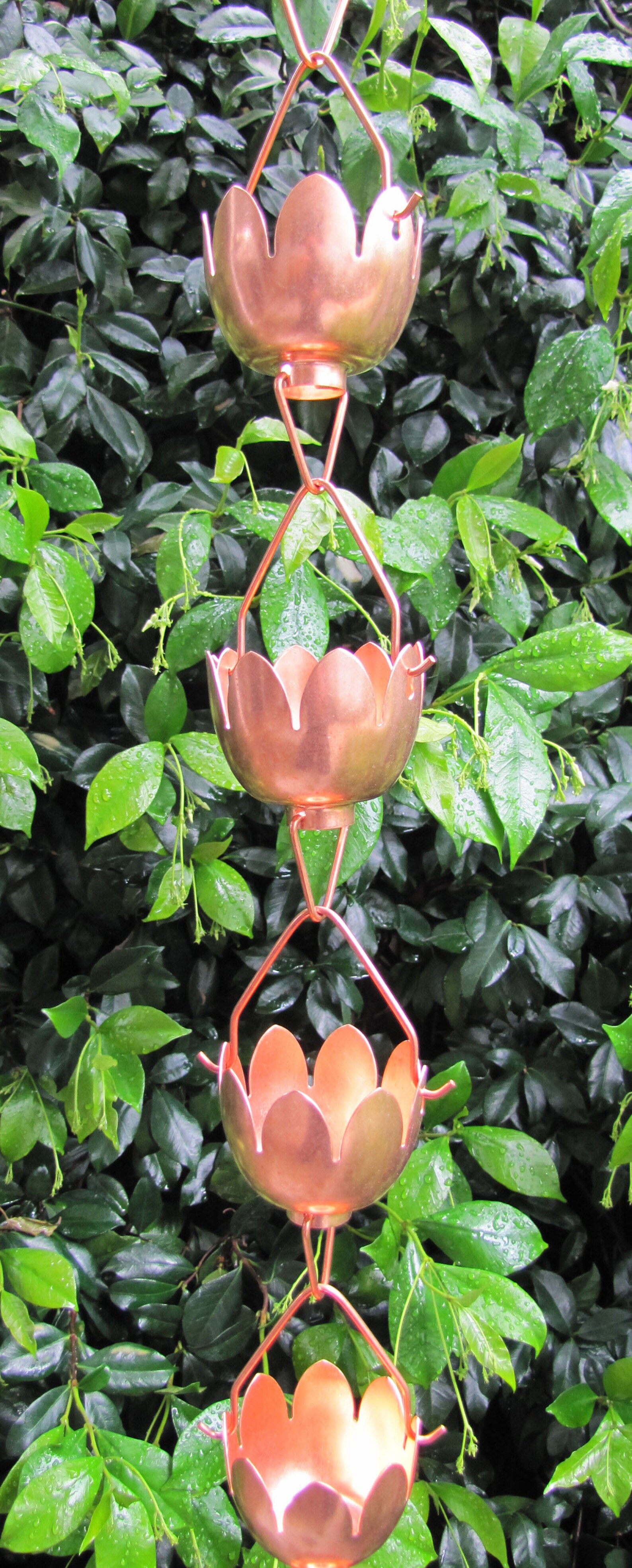 Stanwood Rain Chain Copper Rain Chain Lotus Lily Flower 8ft Etsy