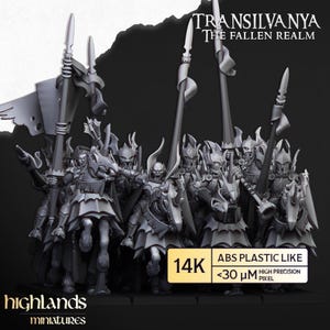 Puede incluir: Un grupo de figuras en miniatura grises, probablemente para un juego de mesa, que representan guerreros con lanzas y escudos. El texto "TRANSILVANYA THE FALLEN REALM" y "highlands miniatures" son visibles.