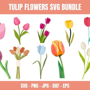 SVG Tulip Tulips Spring Flowers Floral Flower Layered Files Bundle Cricut Silhouette Printable Instant Downloadable Clip Clipart Svg Dxf Art