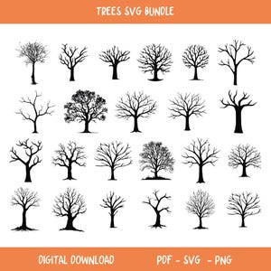 Paquete de svg de árbol, paquete de svg de árbol de la vida, paquete de svg de árbol, clipart de árbol de la vida, svg de árbol celta de la vida, svg de árbol genealógico, svg de raíces de árbol