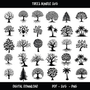 Paquete de svg de árbol, paquete de svg de árbol de la vida, paquete de svg de árbol, clipart de árbol de la vida, svg de árbol celta de la vida, svg de árbol genealógico, svg de raíces de árbol