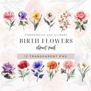 Clipart de flores del mes de nacimiento, paquete PNG floral de acuarela, gráficos de flores de nacimiento DIY, ideas de regalo para el Día de la Madre, amapola, rosa, margarita