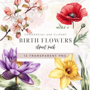 Clipart di fiori del mese di nascita, bundle di PNG floreali ad acquerello, grafica fai da te di fiori di nascita, idee regalo per la festa della mamma, papavero, rosa, margherita