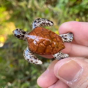 May include: A small, detailed turtle figurine with a glossy, brown shell and patterned flippers. The turtle's head and flippers have a speckled design. The figurine is held in a hand against a blurred green background.