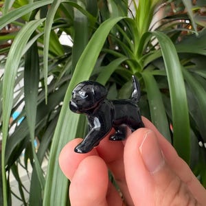 Könnte beinhalten: Eine kleine, glänzend schwarze Hundefigur in Gehpose. Die Skulptur hat eine glatte, reflektierende Oberfläche und wird in der Hand einer Person gehalten. Der Hintergrund zeigt grüne Pflanzenblätter.