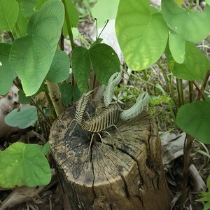 May include: A detailed metal sculpture of a scorpion with a segmented body and curved pincers. The sculpture is a light brown color and is perched on a weathered tree stump. Lush green leaves surround the sculpture, creating a natural setting.