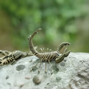 May include: A detailed sculpture of a scorpion with a curved tail and large pincers. The scorpion is a light brown color and is positioned on a gray stone surface. The background is a blurred green.