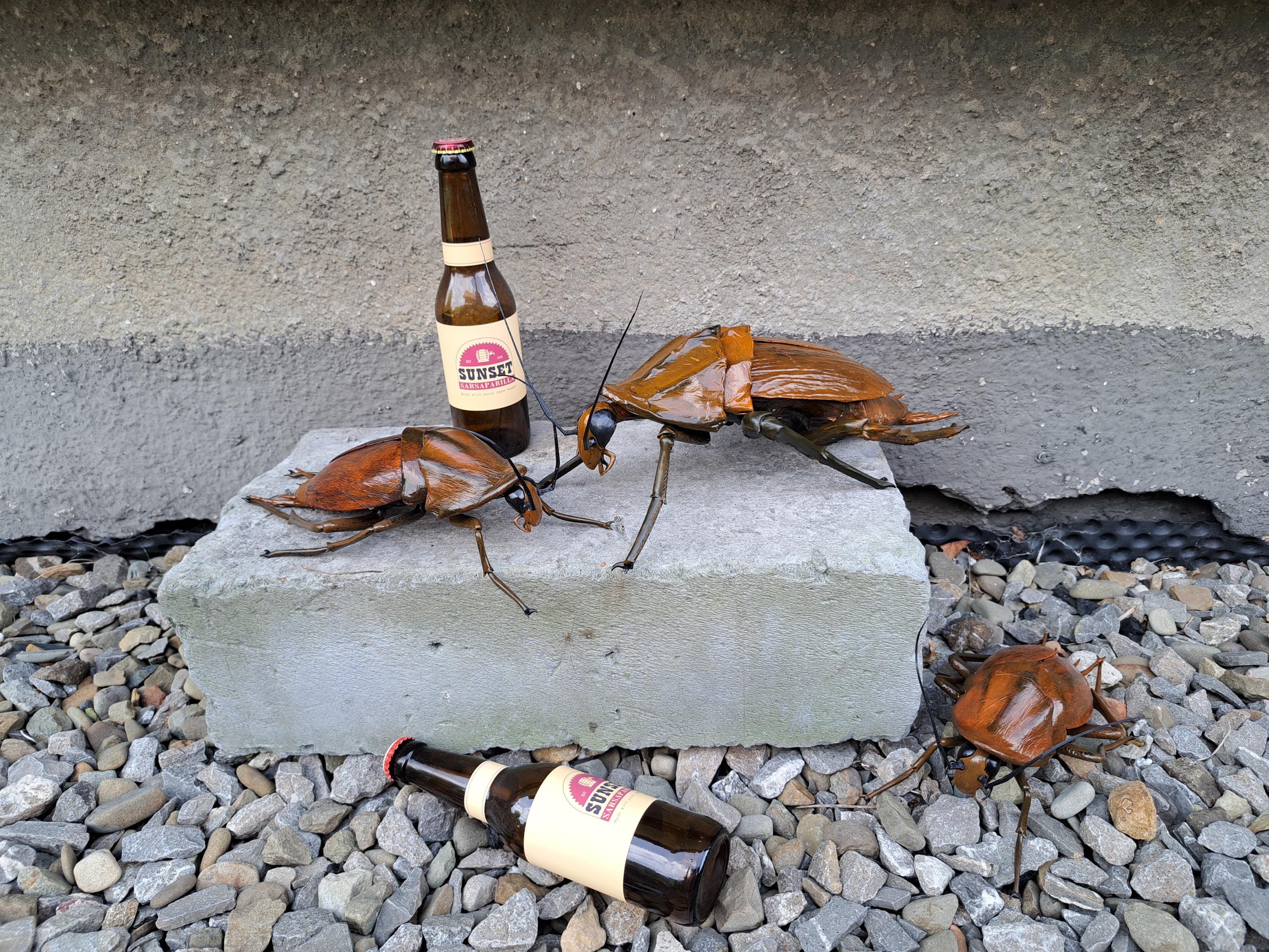 Radroach, DIY Great American Cockroaches, Giant Cockroaches - Post