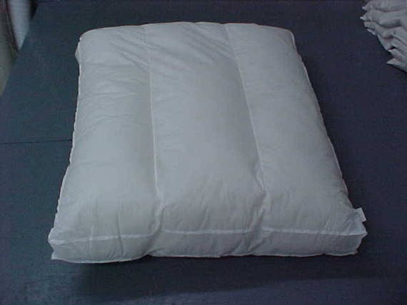 Inserts For Floor Cushions Or Puppy Bed Slipcovers Poly Pillow Etsy