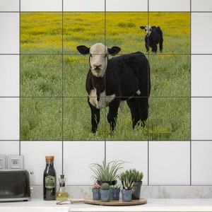 Cow Ceramic Tile Mural with photo of calves in field, Kitchen Backsplash, Bovin tile Mural, Cow Wall Art Perfect for Bovin Home Decor
