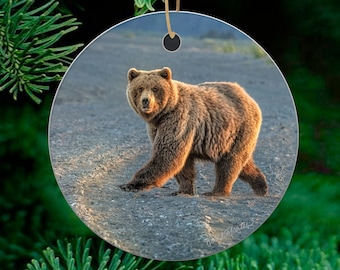 Coastal Brown Bear Ornament, Alaska Bear ornament, Chinitna Bay Photograph, Lake Clark National Park Ceramic Bear Christmas Ornament