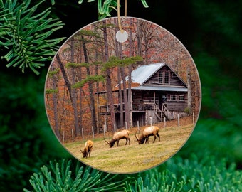 Elk Ornament , wildlife ornament, Bull Elk, Arkansas art, Beautiful on Christmas tree, wood or ceramic, Boxley Valley Arkansas Ornament