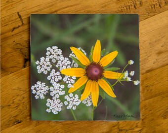 Black Eyed Susan Ceramic Coaster with Matte Finish Floral Drink Coaster, Fine Art Wildflower Flower Coaster, Wildflower Art,