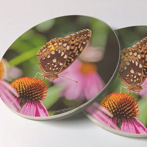 Elegant Butterfly Car Coaster Set of 2 made of Sandstone