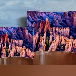 Bryce Canyon National Park Photo on Curved Metal - Stunning Utah Art on Metal - Perfect for Desk or Shelving - Available in Multiple Sizes