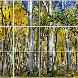 Mural de azulejos de cerámica de álamos temblones en otoño de Colorado, protector contra salpicaduras de cocina, mural decorativo de arboleda de álamos temblones en otoño, arte mural horizontal de Kebler Pass, Colorado