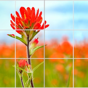 Indian Paintbrush Ceramic Tile Mural, Wildflower mural, Kitchen Back Splash,  Bathroom Back splash, wall art, backsplash, choose size