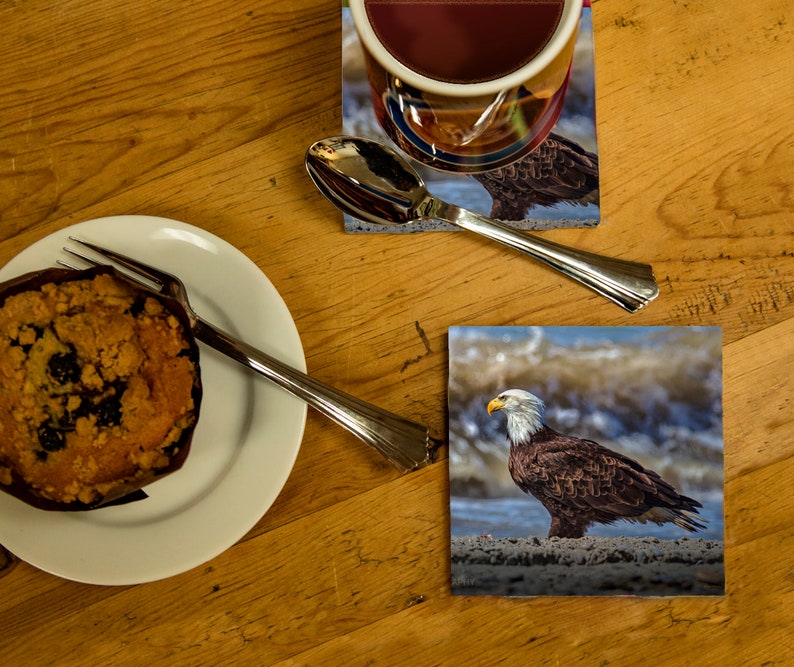 Alaska Bald Eagle Coaster taken at Kenai Fjords National Park, Alaska Ceramic Coaster with Beautiful Bald Eagle Landing, Alaska Keepsake image 2