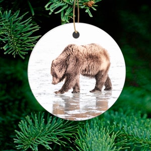 Coastal Brown Bear Ornament at Chinitna Bay, Grizzley Bear, Lake Clark National Park Ornament, Ceramic Alaska Christmas Ornament & Bear Art