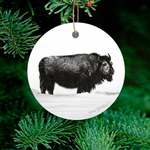 Grand Teton Bison Ornament with Bison  taken near Jackson Hole and Grand Teton National Park, Ceramic Wyoming Teton Ornament & Keepsake