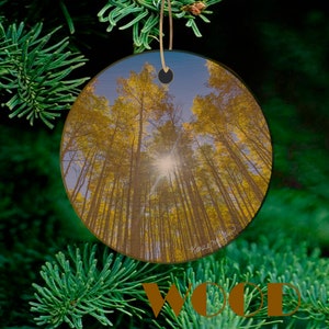 Aspen Ornament with Sunburst in Colorado Ornament, Kebler pass near Crested Butte, Beautiful Aspen Tree Ornament, Wood or Ceramic image 4