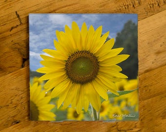 Sunflower Field Coaster on Matte Ceramic Tile by Koral Martin, Sunflower Art trivet, drink coaster, floral art, sunflowers, Sunflower decor