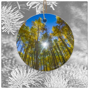 Aspen Ornament with Sunburst in Colorado Ornament, Kebler pass near Crested Butte, Beautiful Aspen Tree Ornament, Wood or Ceramic image 2