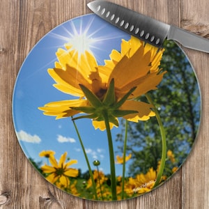 Coreopsis Wildflower Cutting Board with Sunburst, Tempered Glass Cheese Board,  wildflower art, counter protector, Wildflower Photo